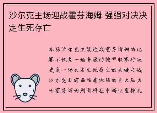 沙尔克主场迎战霍芬海姆 强强对决决定生死存亡