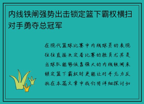 内线铁闸强势出击锁定篮下霸权横扫对手勇夺总冠军